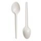 Plastic Disposable Spoon Large